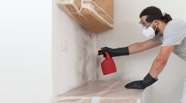 Professional Basement Mold Remediation technician working in Winterville, NC