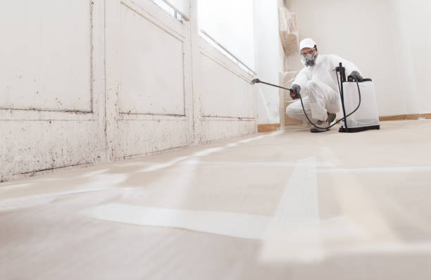24/7 Emergency Basement Mold Remediation experts in Winterville, NC