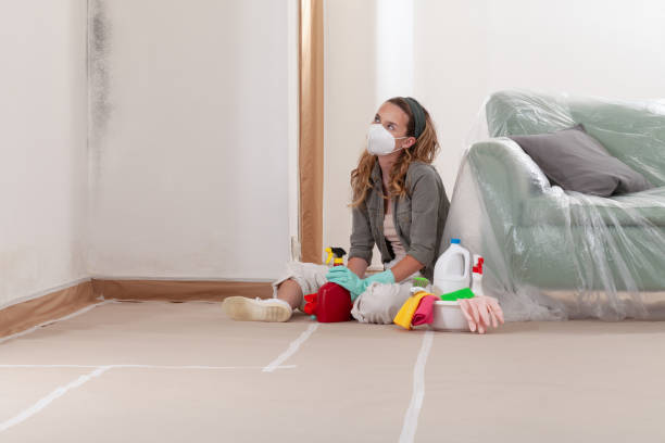 Reliable Basement Mold Remediation contractor in Winterville, NC by 24 Hour Mold Removal
